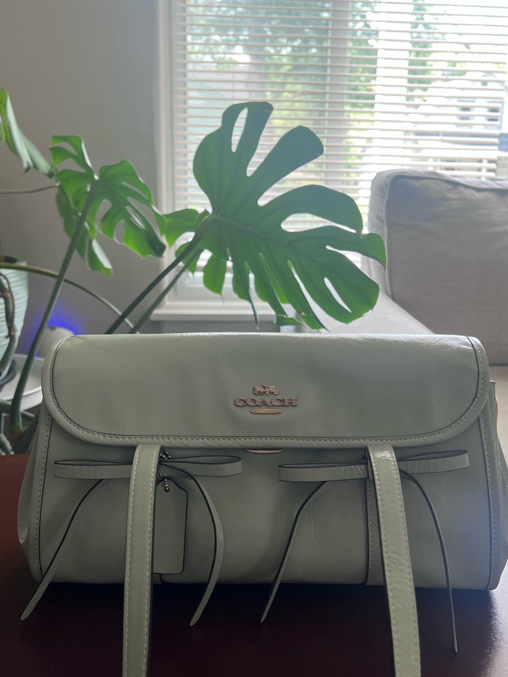 Coach Bridget Flap Leather Shoulder Bag in pistachio with bows